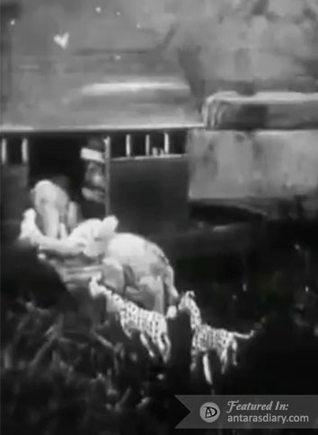 Tale of the Ark (1909) preview