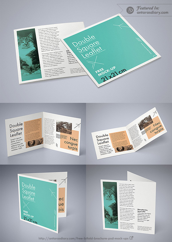 Download 20+ Free Bi-Fold Brochure PSD Mockups | Antara's Diary